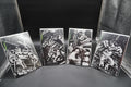 TEENAGE MUTANT NINJA TURTLES #1-4 MIKE MAYHEW BLACK & WHITE VARIANTS - SIGNED MIKE MAYHEW W/COA'S