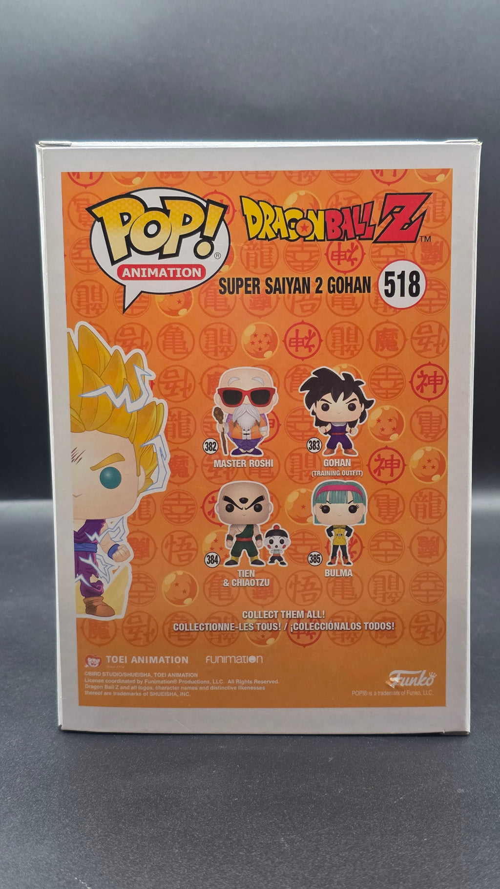 DragonBall Z Super Saiyan 2 Gohan